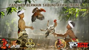 PANDUAN BERMAIN SABUNG AYAM ONLINE