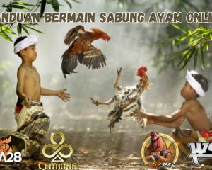 PANDUAN BERMAIN SABUNG AYAM ONLINE