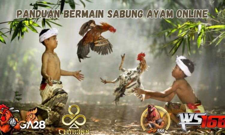 PANDUAN BERMAIN SABUNG AYAM ONLINE