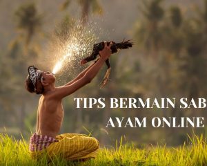 tips bermain sabung ayam online