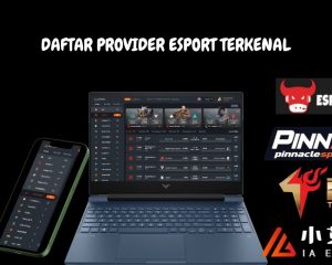 DAFTAR PROVIDER E SPORT TERKENAL